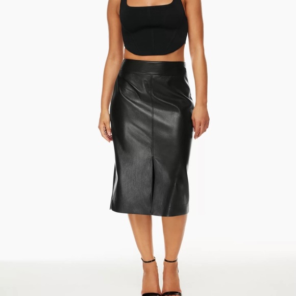 TODAY: Aritzia Pegu Skirt - Picture 9 of 9